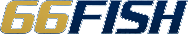 66fish Logo